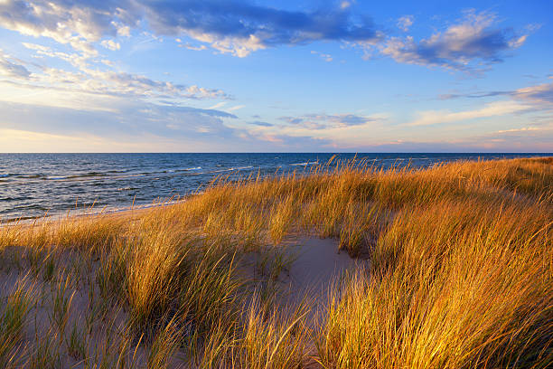 dunas grama no lago michigan - lago michigan imagens e fotografias de stock