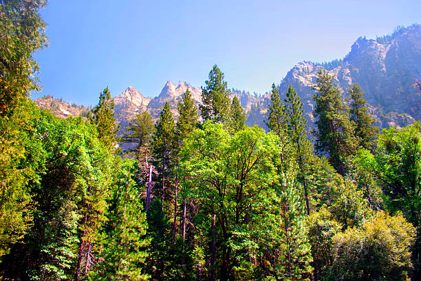 The Yosemite Valley in Yosemite National Park, California
