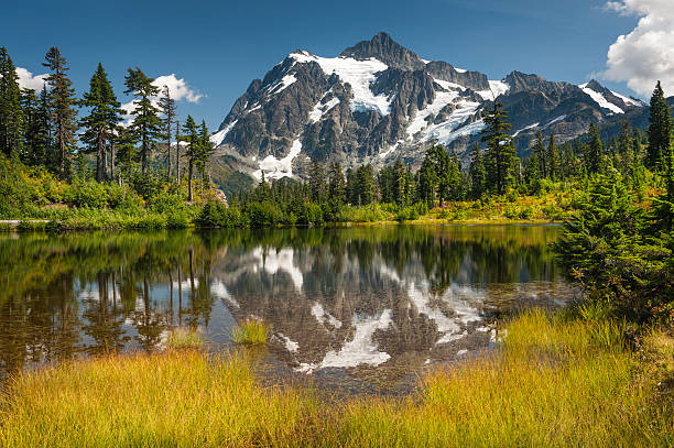 istock Picture Lake, Mt. Baker-Snoqualmie National Forest. 487129044