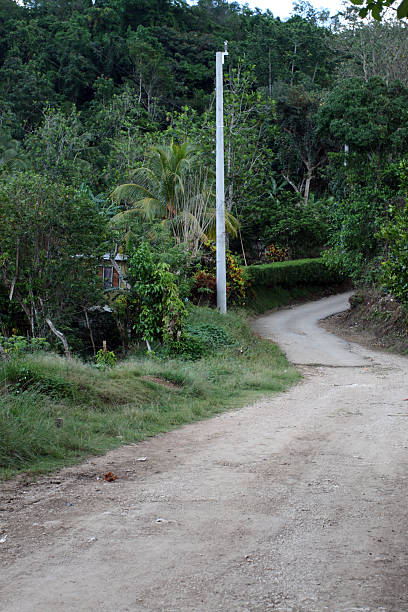 istock Croydon Plantation, Jamaica 487129504