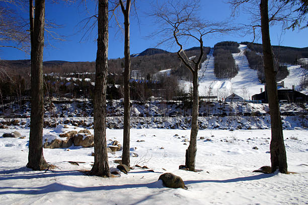 뉴잉글랜드 겨울 - mount washington north new hampshire usa 뉴스 사진 이미지