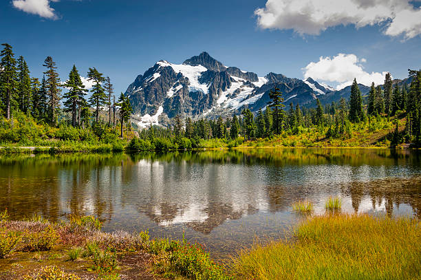 istock Picture Lake, Mt. Baker-Snoqualmie National Forest. 487130320