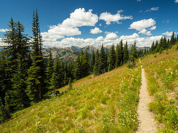 Pacific Crest Trail The PCT, or Pacific Crest Trail as seen in Northern Washington pacific crest trail stock pictures, royalty-free photos & images