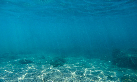 Underwater scene with white stones