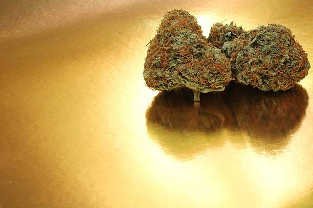 istock Pink Tahoe OG on a gold background reflection 487136906