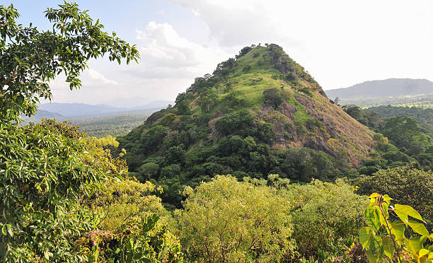 istock Green grass hill in Sri Lanka 487139450
