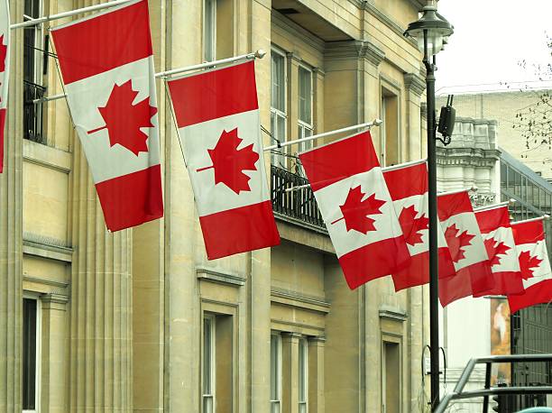istock Canadian Flags in London UK 487139846