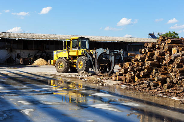 caricamento registro in legno mill registrazione un camion - lumber industry timber truck forklift foto e immagini stock