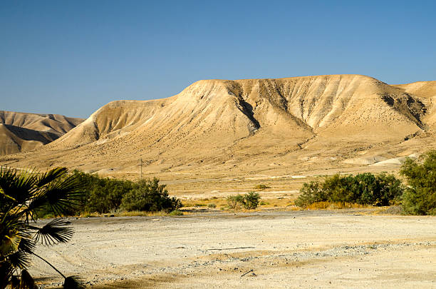 istock Traveling through Israel deserts 487144660