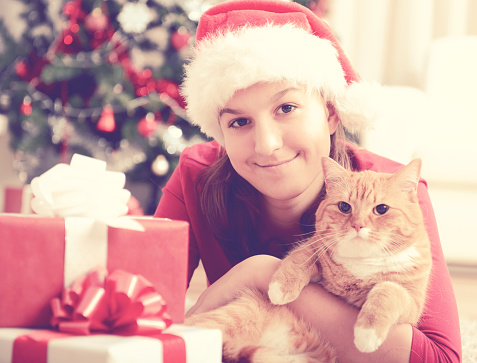 Girl with a cat in a Christmas interior 