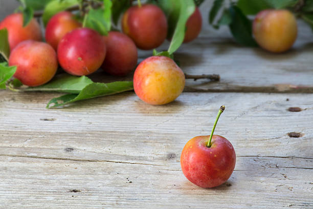 Wild red plums on an old wooden board, rare old varieties, copy space