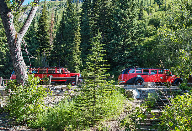 ônibus vermelho jammer - us glacier national park montana bus park - fotografias e filmes do acervo