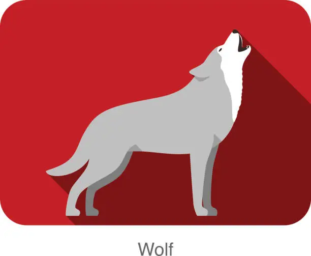 Vector illustration of Wolf standing and roaring