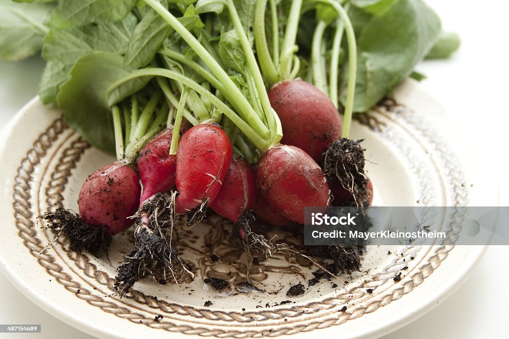 Frische radishes mit Wurzel - Lizenzfrei Blatt - Pflanzenbestandteile Stock-Foto