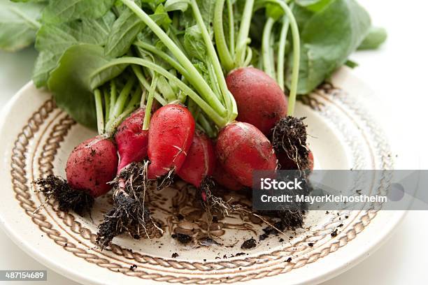 新鮮な Radishes 根本的原因 - ゴールデンビーツのストックフォトや画像を多数ご用意 - ゴールデンビーツ, 人物なし, 健康的な食事