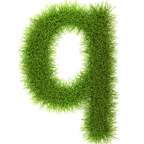 istock Grass style Latin Alphabet Letters and Numbers 487155907