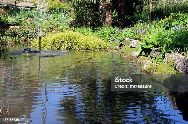 Imagem De Um Jardim Peixe Pequeno Lago Com Fonte E Plantas - Fotografias de stock e mais imagens de Ajardinado