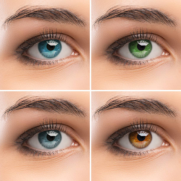 istock Set of women's Eyes 487157420