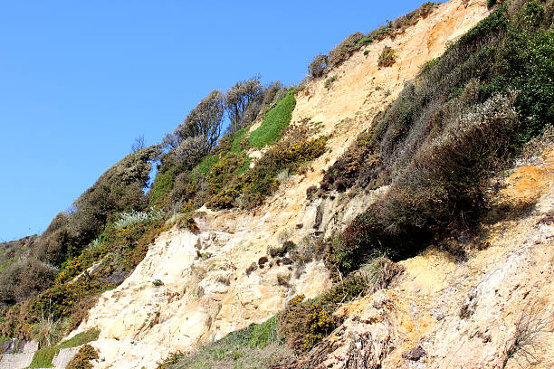 istock Image of sandy cliff alongside beach at Bournemouth 487158555