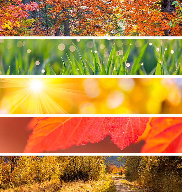 istock Collection of Autumn Headers -  fall season abstract  background 487161254