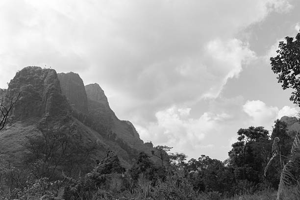 istock views of jungle mountains 487161866