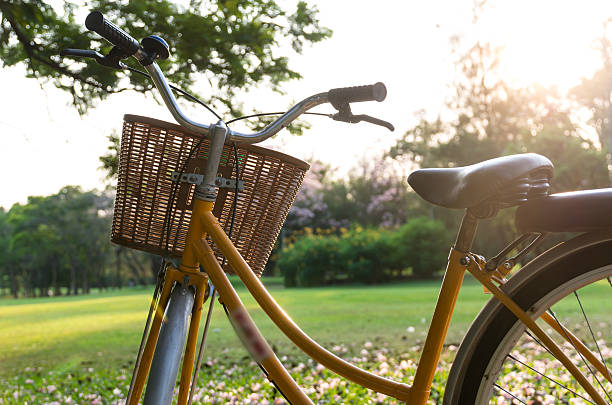 istock Classic Bicycle at sunset in the park or deep forest 487163222