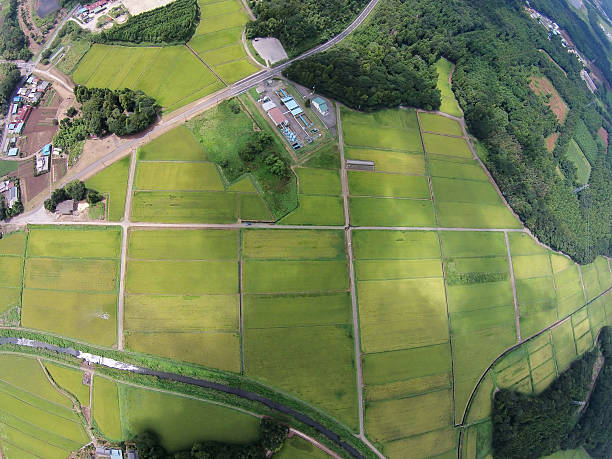istock Countryside of Japan 487163226