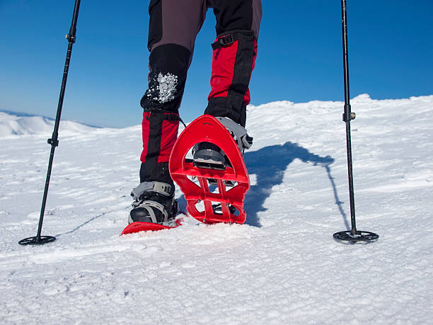 istock Feet in snowshoes. 487163276