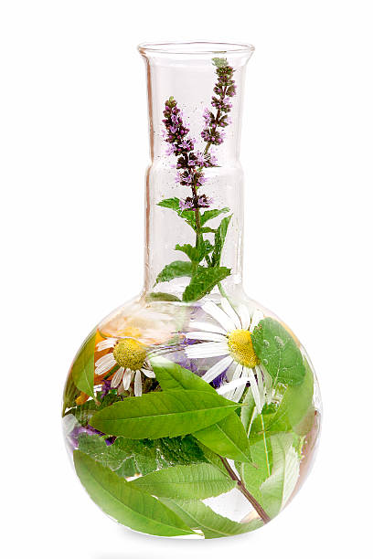 Flask with medicinal herbs Flat bottom flask with fresh medical herbs. spicery stock pictures, royalty-free photos & images