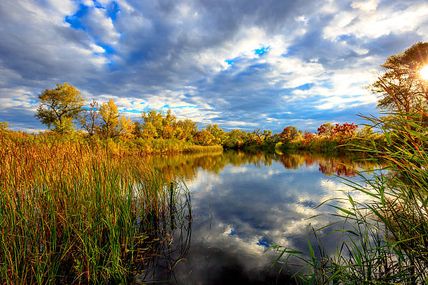 istock Autumn scene on lake 487167516