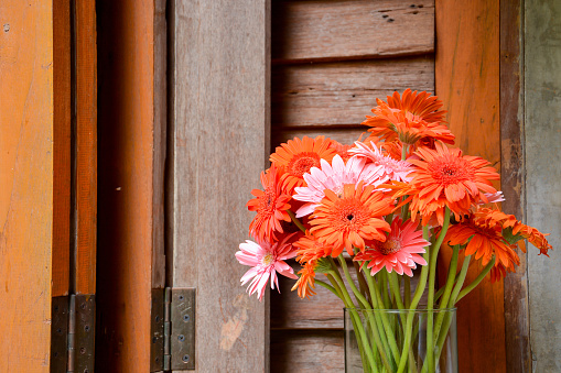 Colorful gerbera flower in the glass vase on wooden wall pattern background