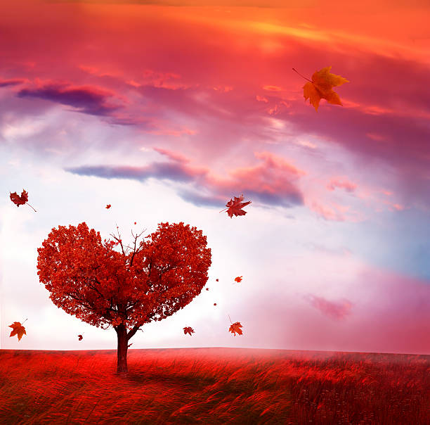 istock Autumn landscape with  love tree 487168614