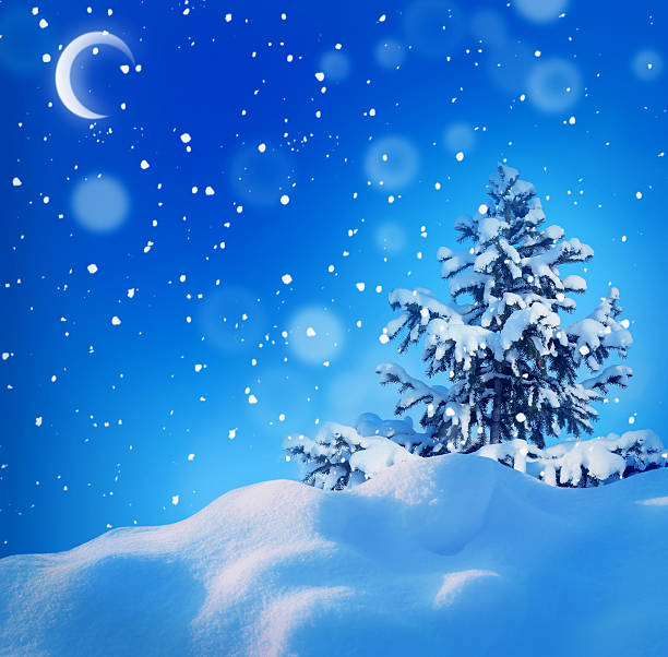 istock winter christmass night landscape 487168864