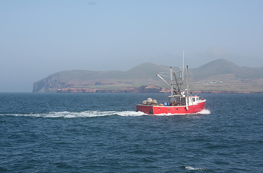 Shrimper at the North Sea not far from Helgoland (Germany). Many seagulls are flying around the ship.