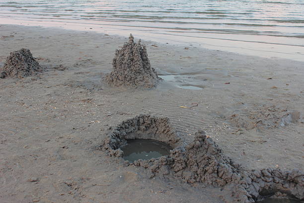istock figures from the sand near the sea 487171970