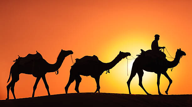 istock Indian man with camels during crossing sandunes 487172877