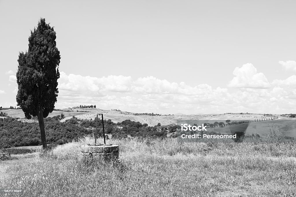 País de Toscana - Foto de stock de Agricultura libre de derechos