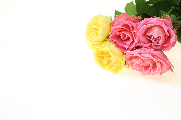 istock Bouquet of roses 487176466