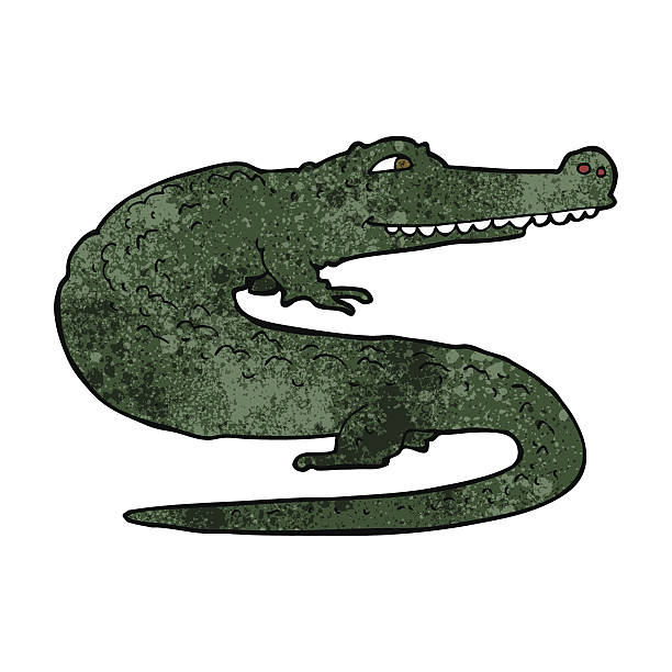 1,400+ How To Draw The Crocodile Stock Photos, Pictures & Royalty-Free ...