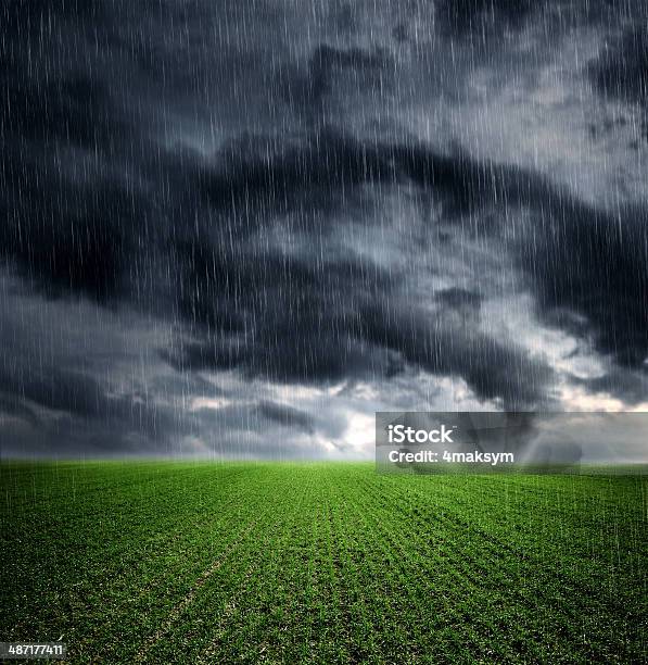 Der Natur Stockfoto und mehr Bilder von Regen - Regen, Feld, Landschaft