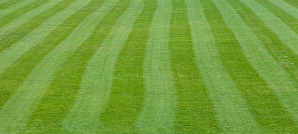 istock lines of soccer field 487177459