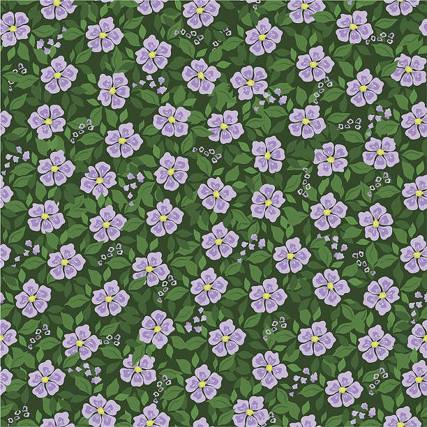 nahtlose blumenmuster - blossom florescence flower wallpaper pattern stock-grafiken, -clipart, -cartoons und -symbole