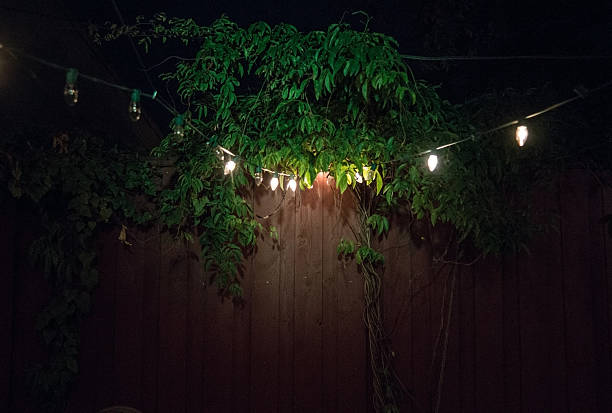 istock Night plants with lights and wood 487182356