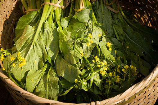 Chinese mustard greens with yellow flowers in a large wicker basket. Shot at the outdoor market in Luang Prabang, Laos.