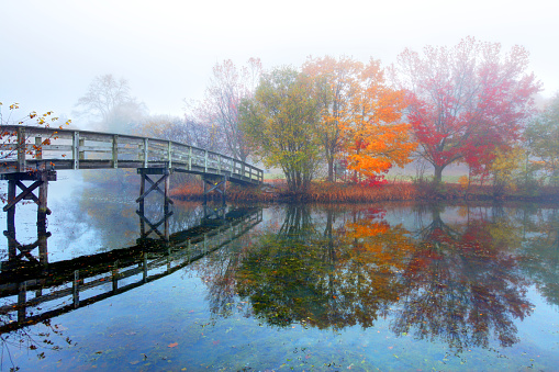 Colors of late Autumn on reflective lake.