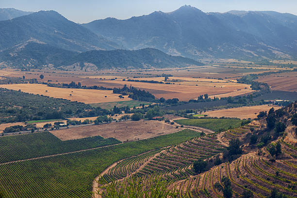 Mountain valley vineyard in Colchagua region Chile stock photo