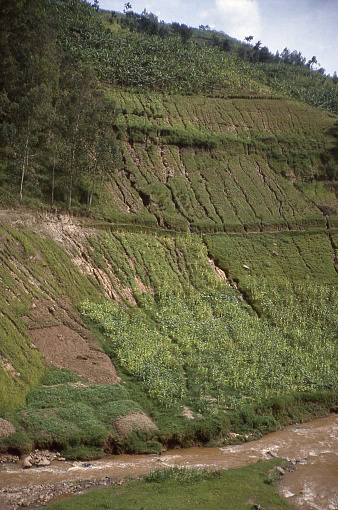 Steep terrain and severe soil erosion along the Mukungwa River Northern Province Rwanda Central Africa