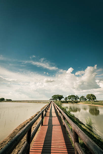 배다리 blue sky landscpae - boardwalk pontoon bridge landscape sky 뉴스 사진 이미지