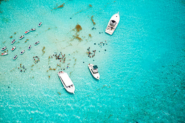 vue aérienne de raies pastenagues à stingray city à grand cayman - cayman islands photos et images de collection