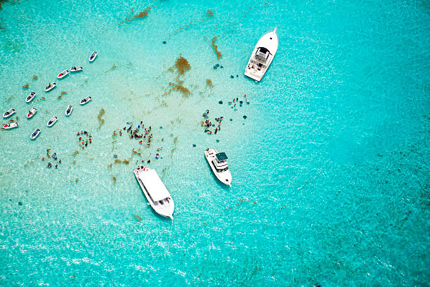 Aerial view of stingrays at Stingray City on Grand Cayman Aerial view of boats and stingrays in water at Stingray City on Grand Cayman, Cayman Islands. It is a shallow area where visitors can swim with and touch the stingrays in the water. It's a beautiful tropical day for this popular attraction. Taken with a Canon 5D Mark 3.  rm fish swimming from above stock pictures, royalty-free photos & images
